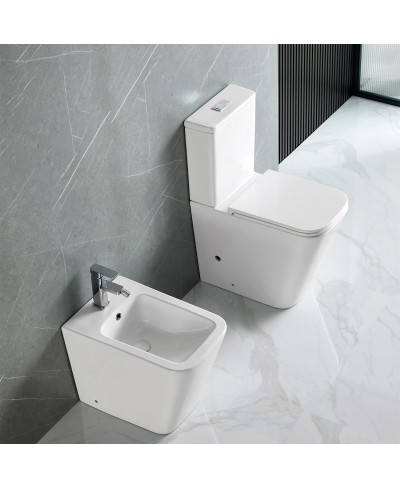 Σετ λεκάνη χαμηλής πίεσης rimless LT 2175A White Glossy KARAG